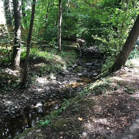 Bella Casa Am Rhein * Bad Honnef